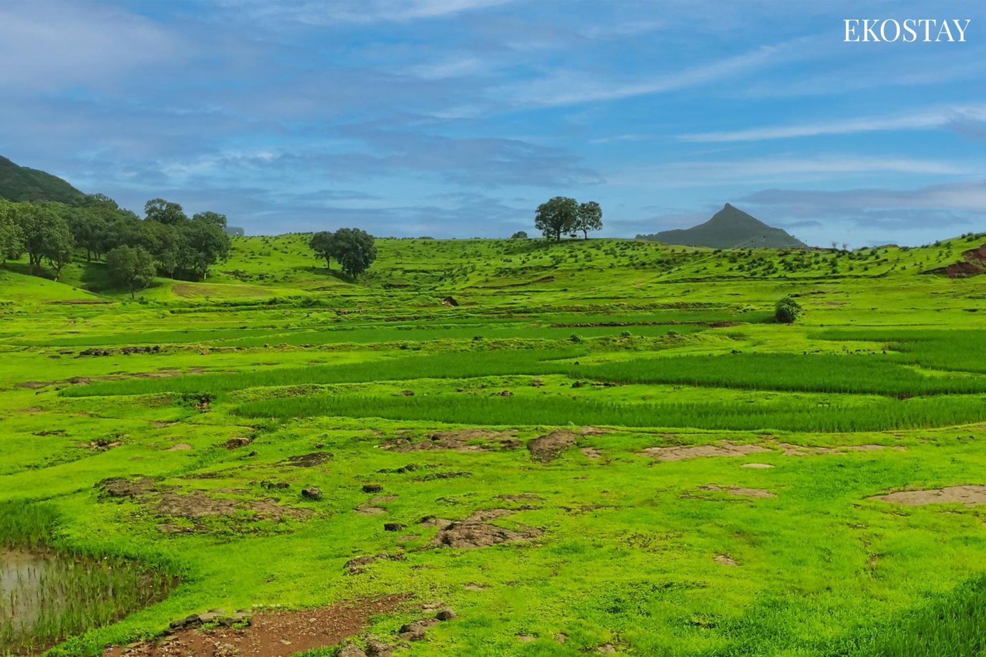 EKOSTAY - Neptune Villa Igatpuri Extérieur photo